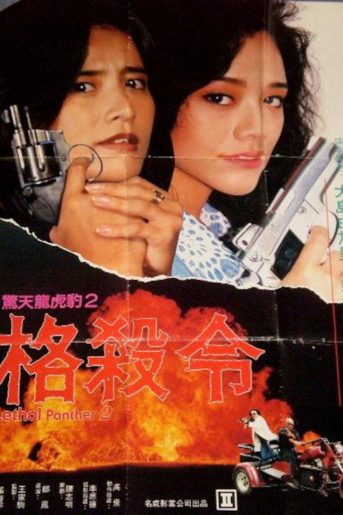 惊天龙虎豹2:格杀令 封面