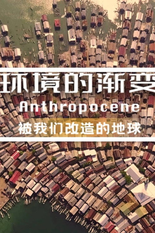 环境的渐变 封面