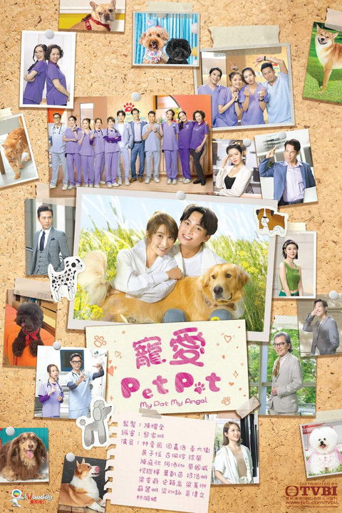 宠爱 Pet Pet 封面