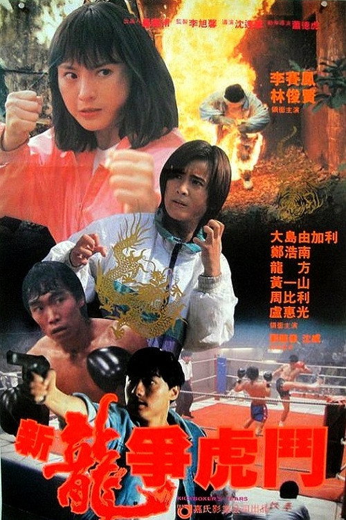 新龙争虎斗 封面