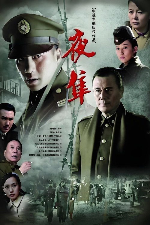 夜隼 封面