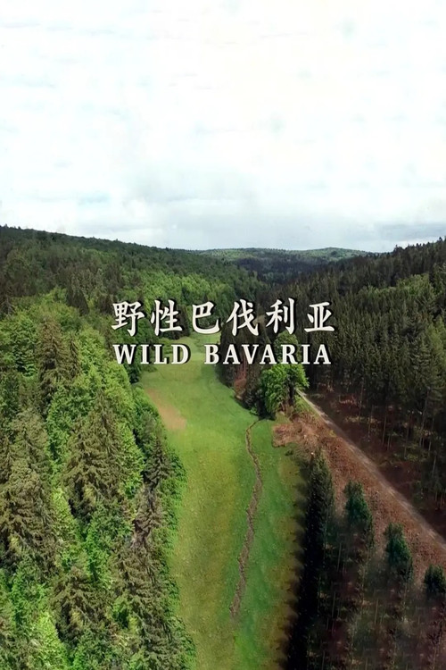 野性巴伐利亚 封面