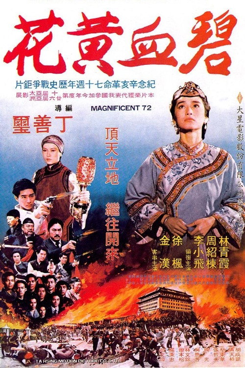 碧血黄花 封面