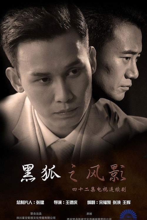黑狐之风影 封面