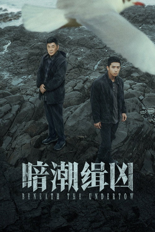 暗潮缉凶 封面