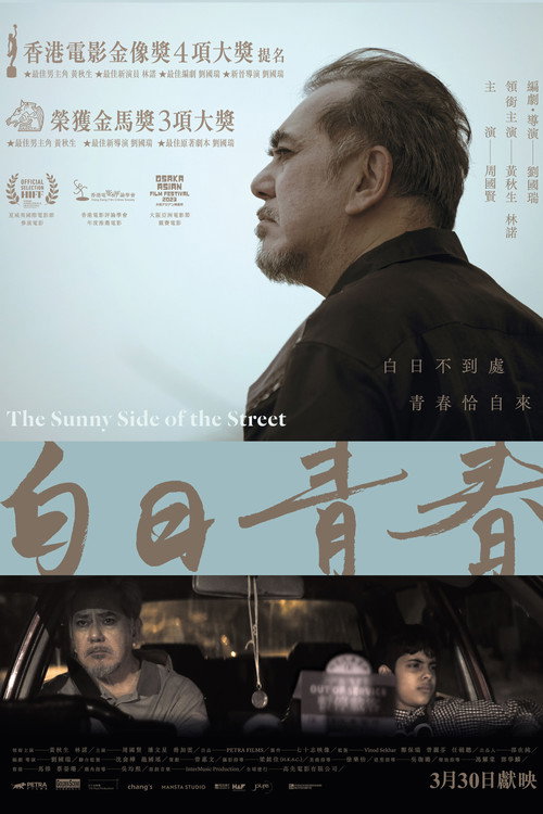 白日青春 封面