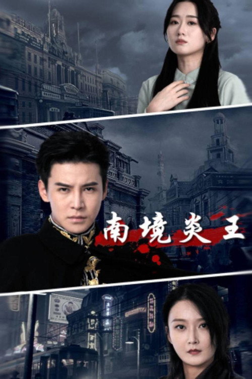 南境炎王 封面