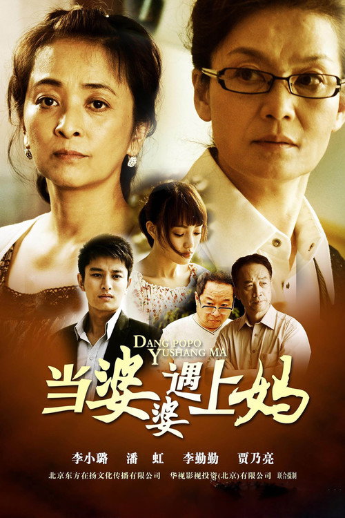当婆婆遇上妈 封面