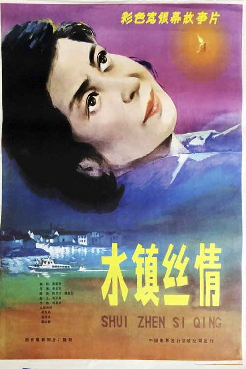 水镇丝情 封面