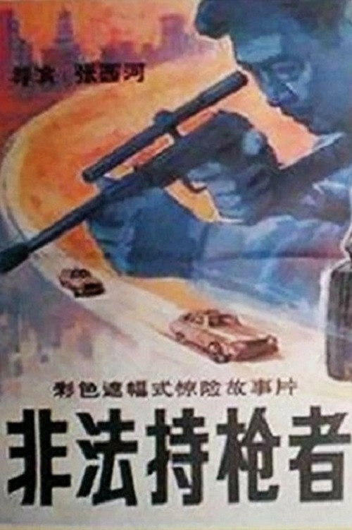 非法持枪者 封面