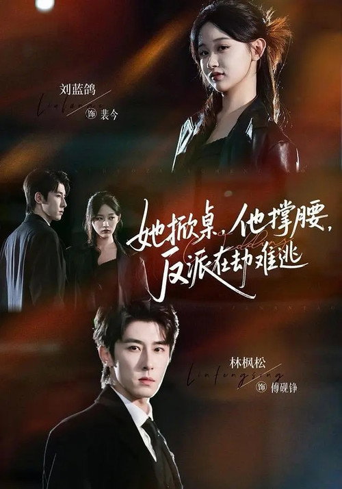 她掀桌,他撑腰,反派在劫难逃 封面