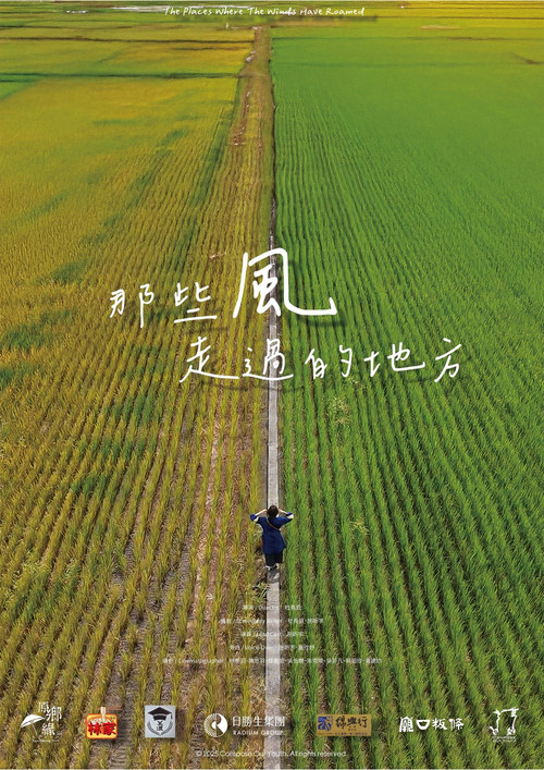 那些風走過的地方 封面