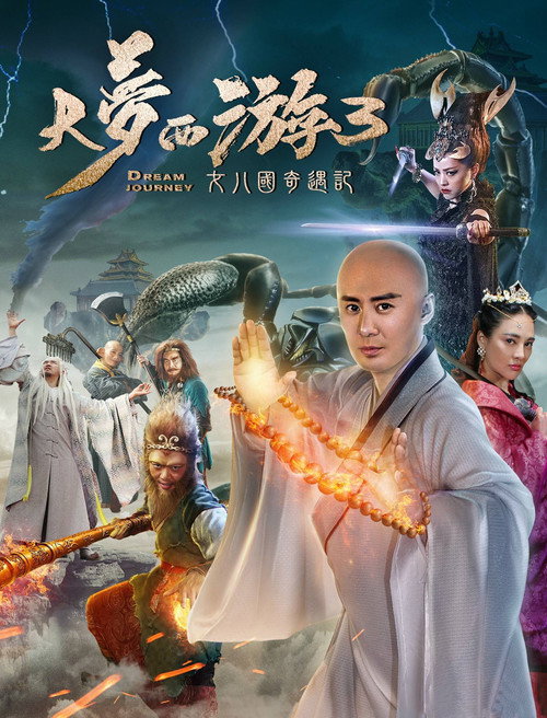大梦西游3:女儿国奇遇记 封面