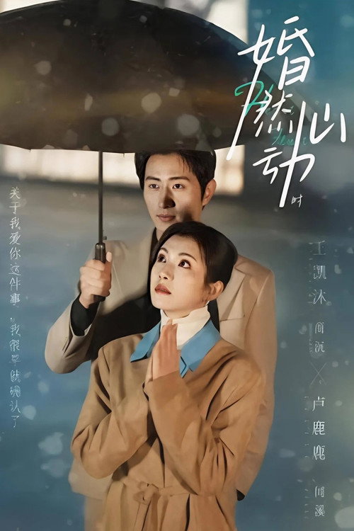 婚然心动时 封面