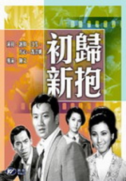 初歸新抱 封面