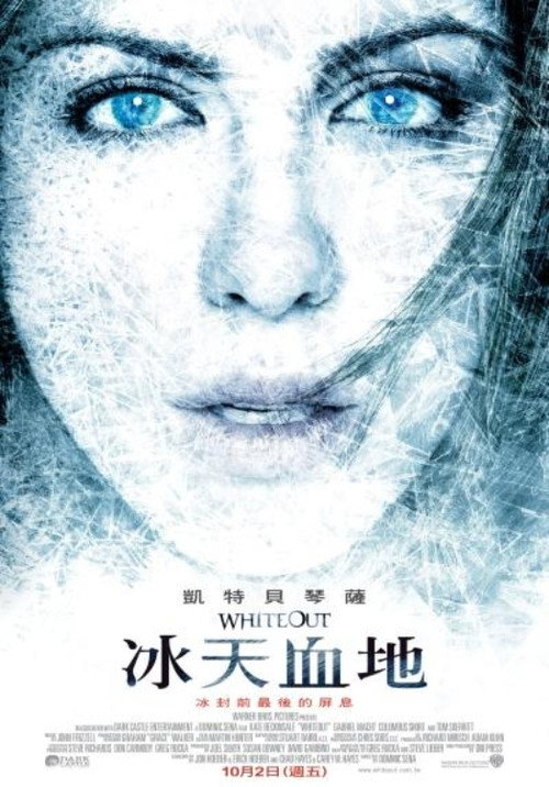 雪盲 封面