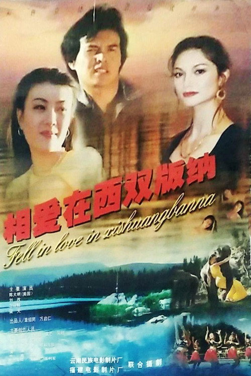 相爱在西双版纳 封面