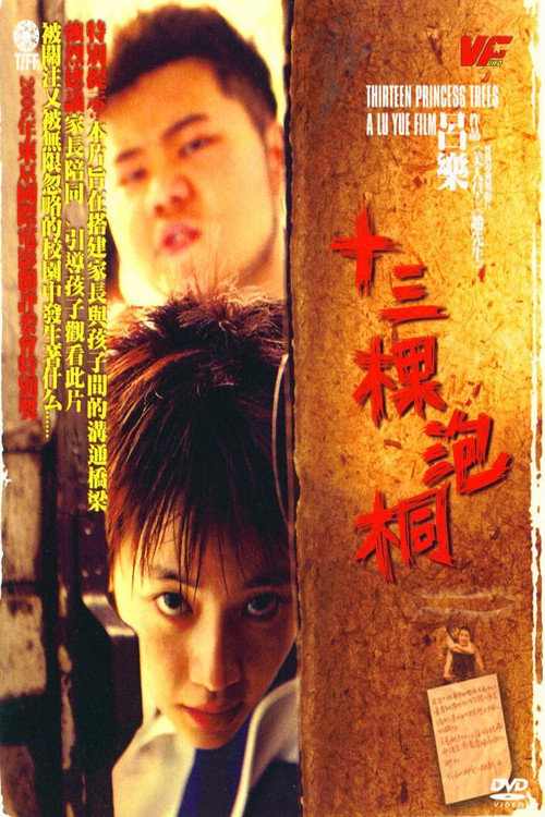 十三棵泡桐 封面