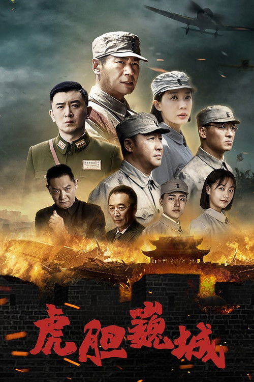 虎胆巍城 封面