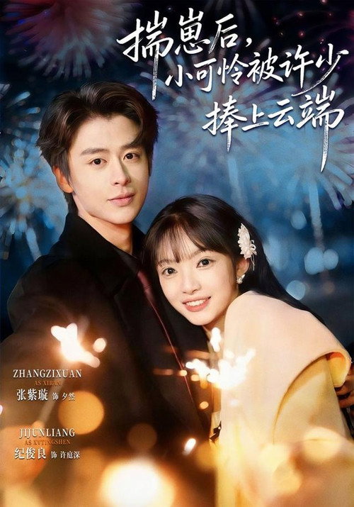 揣崽后,小可怜被许少捧上云端 封面