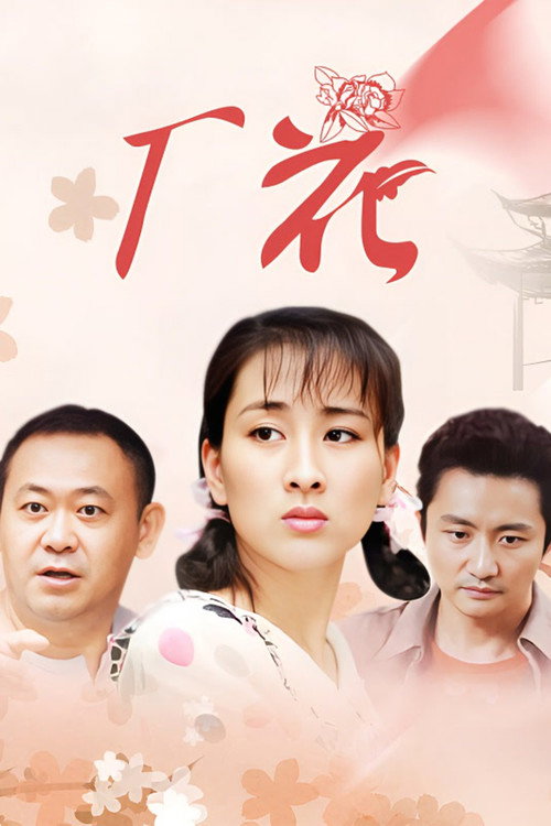 厂花 封面