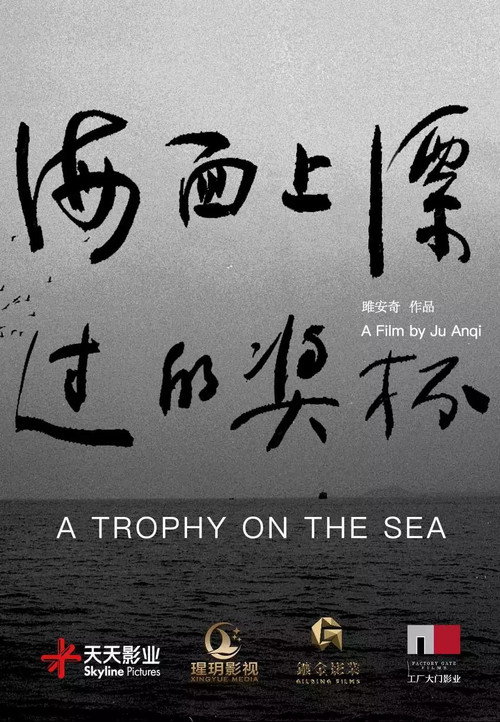 海面上漂过的奖杯 封面