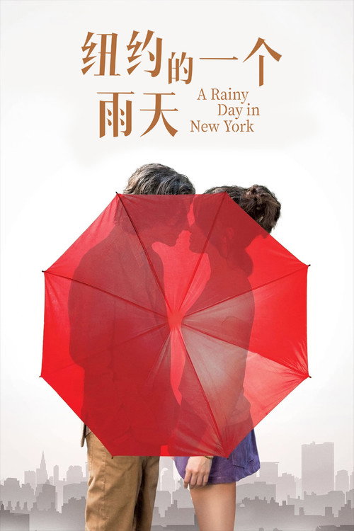 纽约的一个雨天 封面
