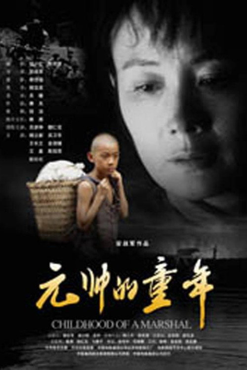 元帅的童年 封面