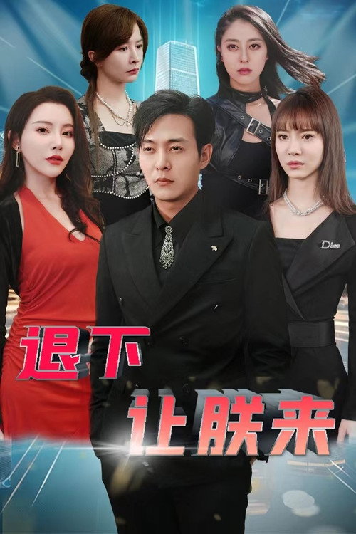 退下让朕来 封面