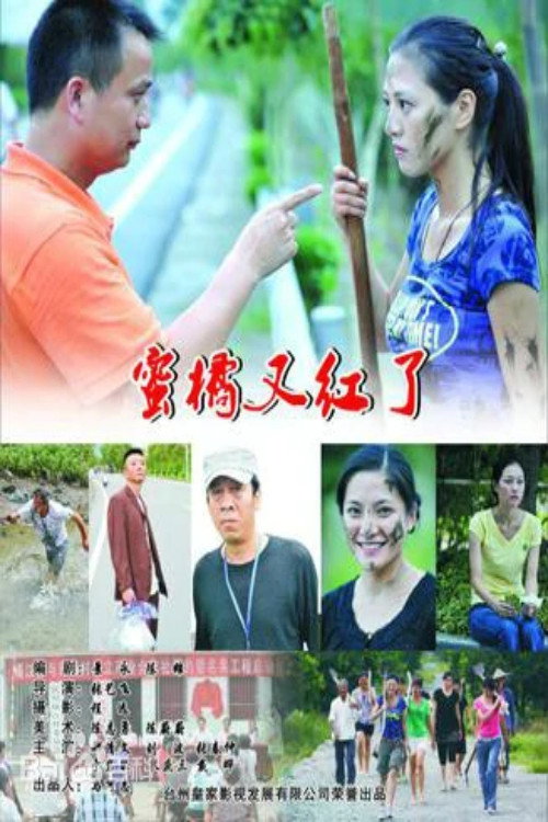 蜜橘又红了 封面