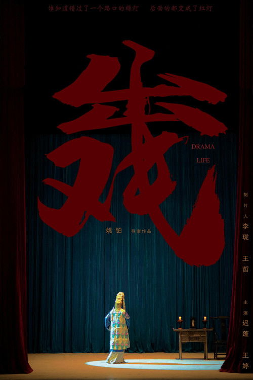 出戏 封面
