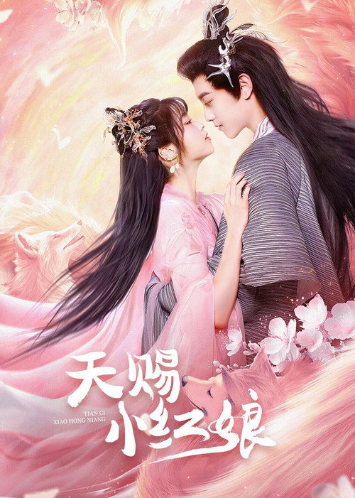 天赐小红娘 封面