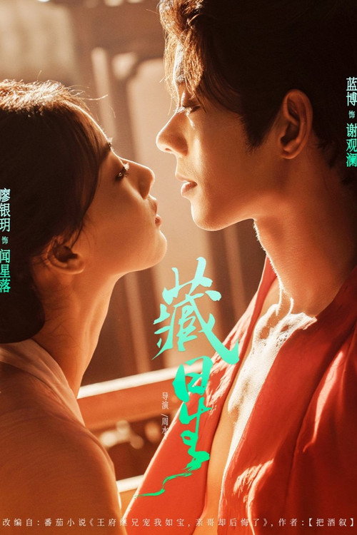 藏星 封面