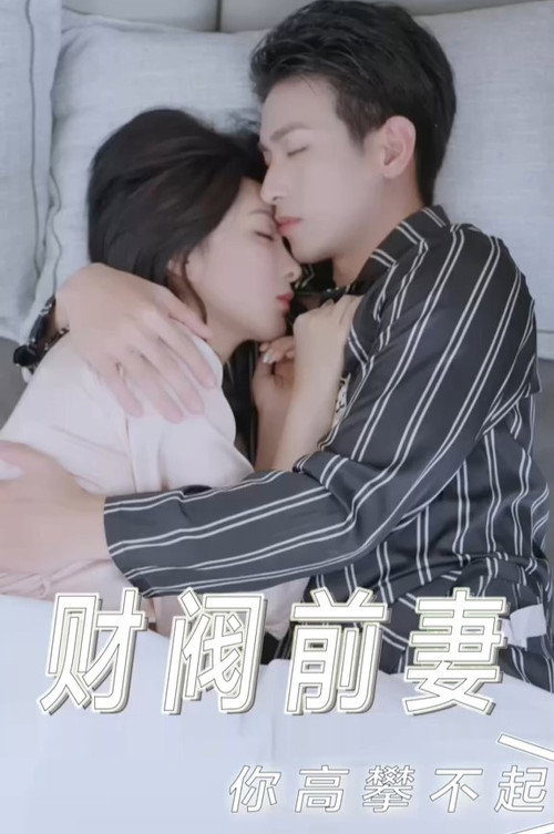 财阀前妻你高攀不起 封面