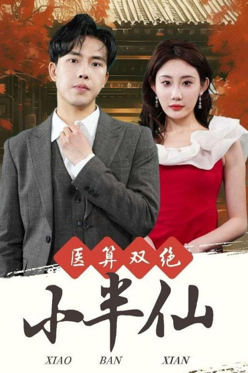 医算双绝小半仙 封面