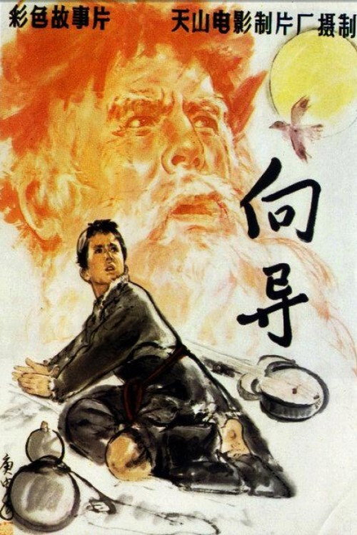 向导 封面