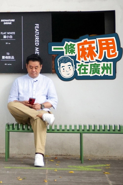 一条麻甩在广州 封面
