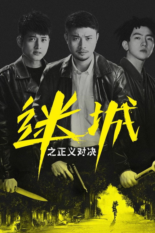 迷城之正义对决 封面