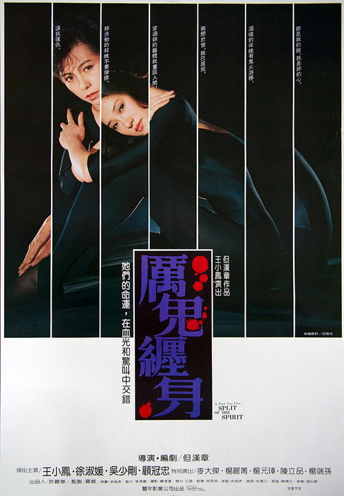 厉鬼缠身 封面