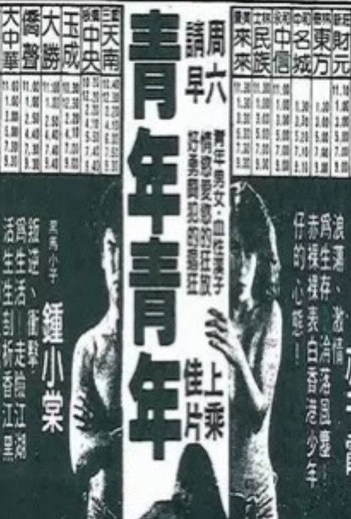 青蓮青年 封面