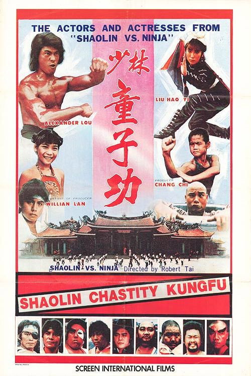 少林童子功 封面