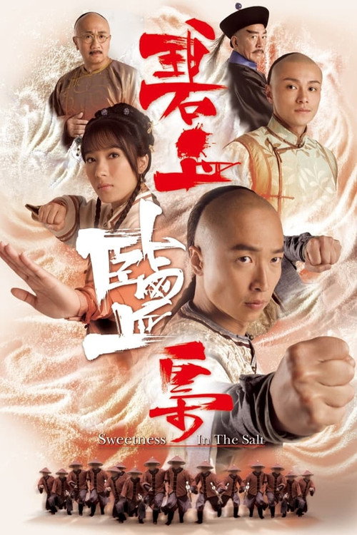 碧血盐枭 封面