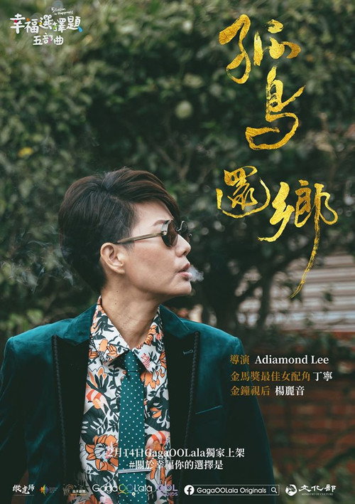 幸福選擇題五部曲 - 孤鳥還鄉 封面
