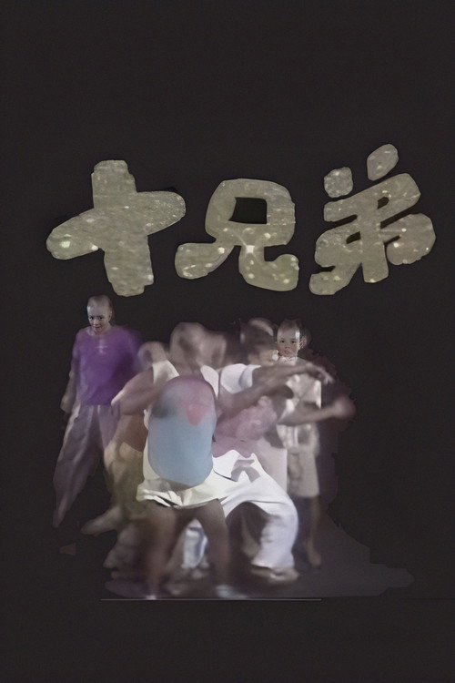 十兄弟 封面