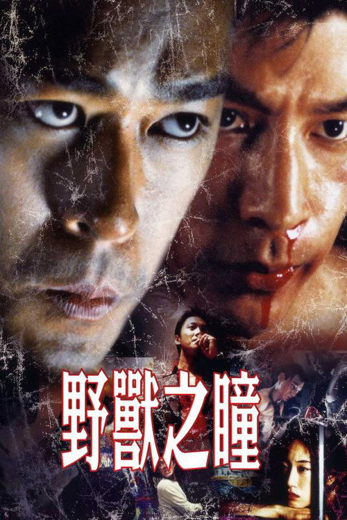 野兽之瞳 封面