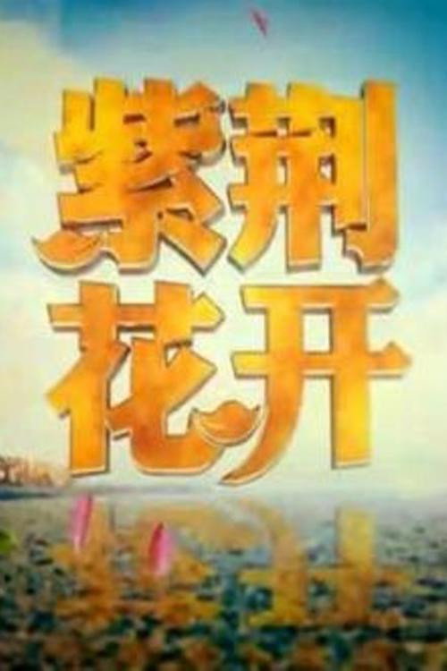 紫荆花开 封面