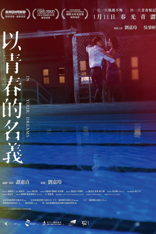 以青春的名义 封面