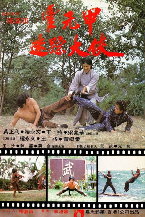 迷蹤霍元甲 封面
