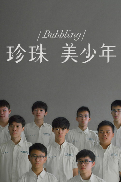 珍珠美少年 封面