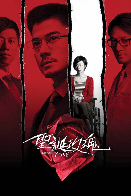 圣诞玫瑰 封面